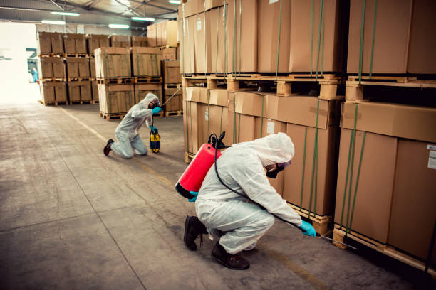 Best Affordable Pest Control Services  in Taylor Mill, KY