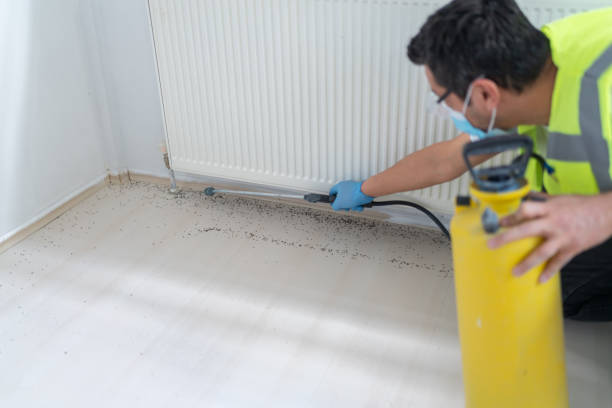 Best Pest Prevention Services  in Taylor Mill, KY